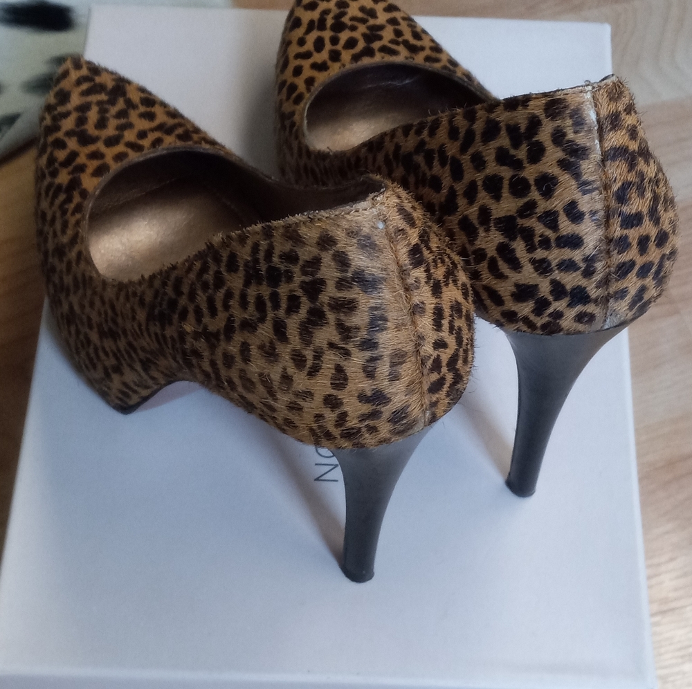 BCBG BG-Parade2, Tan=Dalmation Haircalf, Size 9